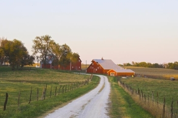 Farm