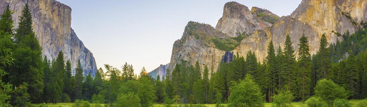 trees and mountains