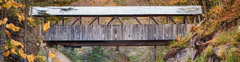 wooden bridge