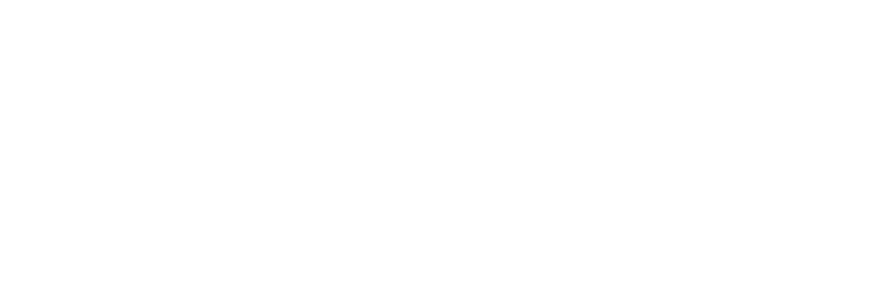 Berlin Hales Taraba Legacy Wealth Management Group of Wells Fargo Advisors