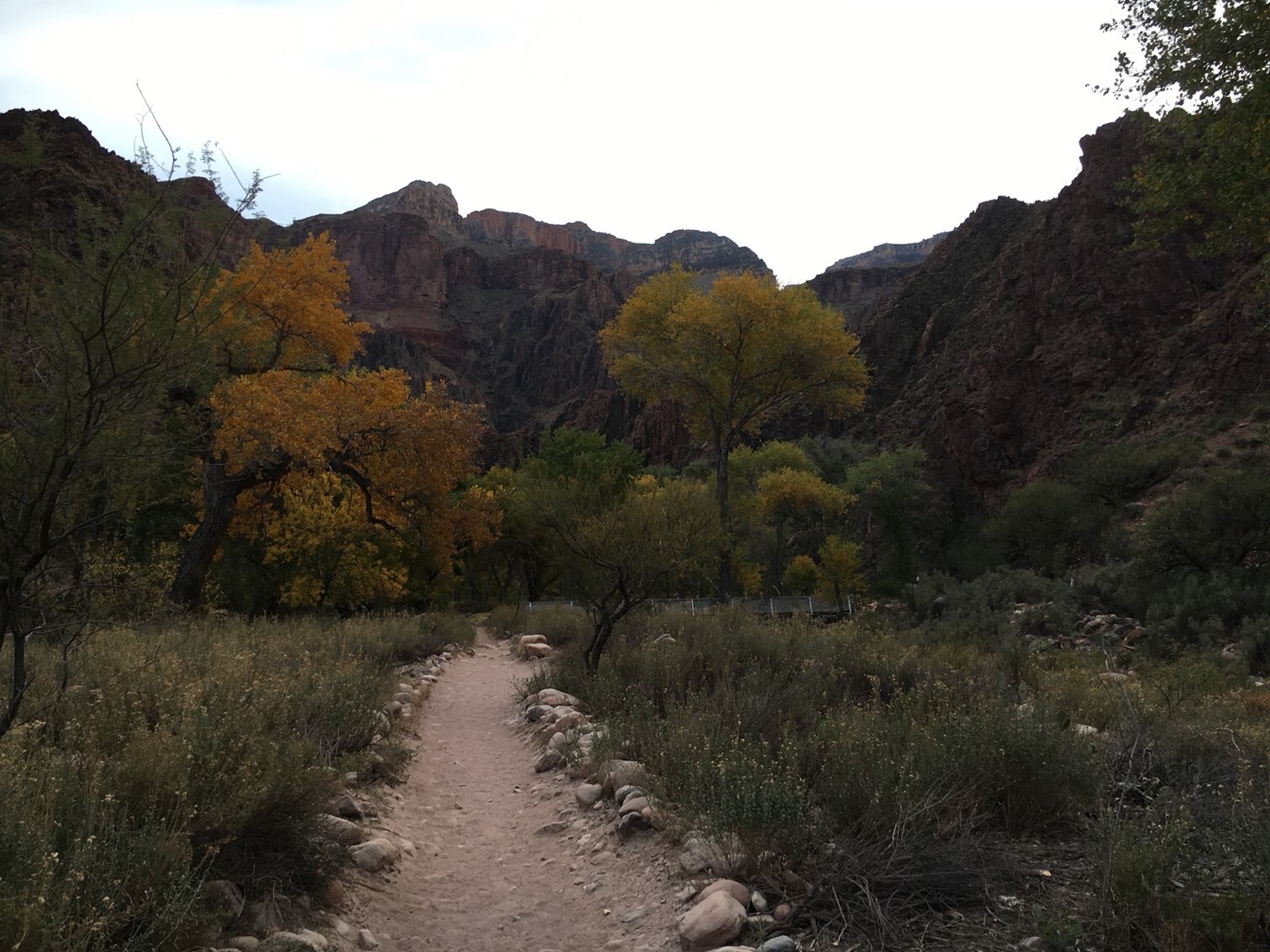 grand canyon phantom ranch