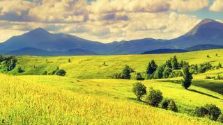 green hills with mountains in the background