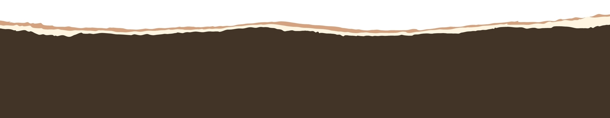 torn paper edge