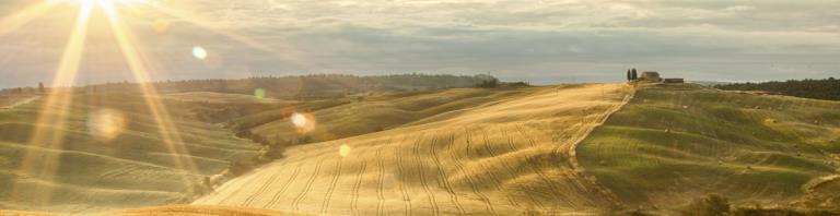 sun over field