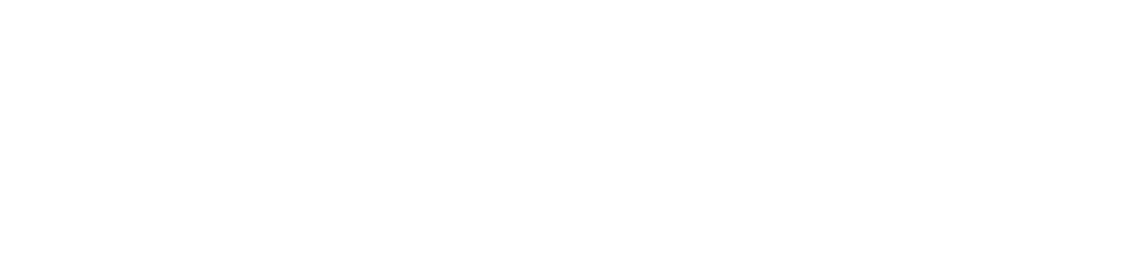 The Diel-Mahoney Private Wealth Management Group of Wells Fargo Advisors
