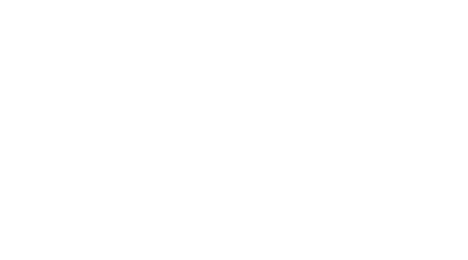 Dobbs Financial Group of Wells Fargo Advisors