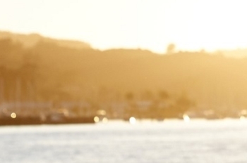 Introduction Content Image