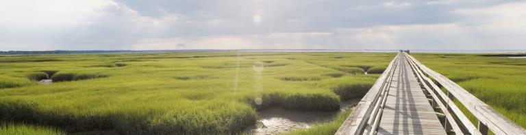 bridge over fields and water