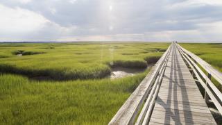 bridge over fields and water