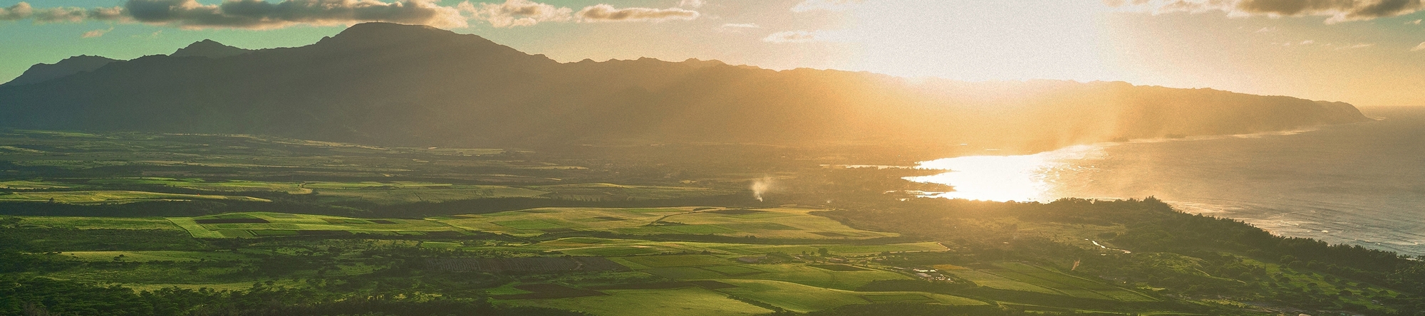 Cultivated fields at sunrise