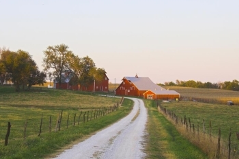 Farm