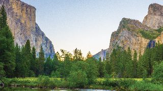 trees and mountains