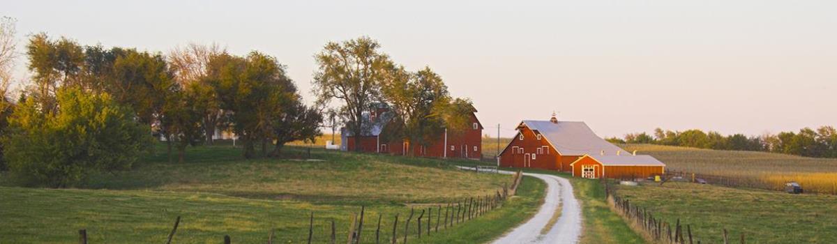 green field with farm in the background