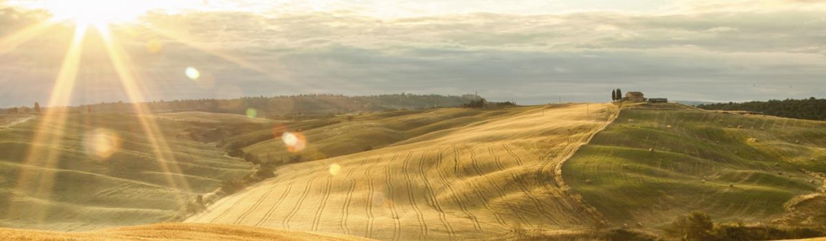 sunset over fields