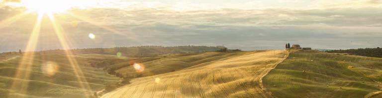 sunset over fields