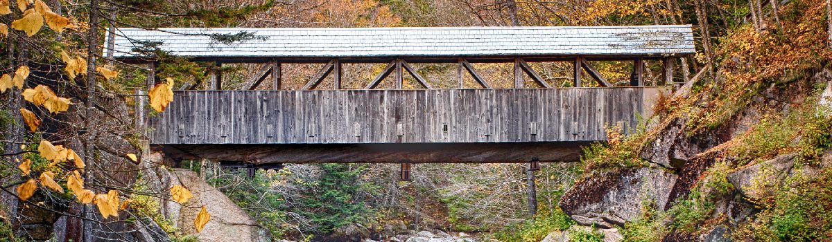 wooden bridge