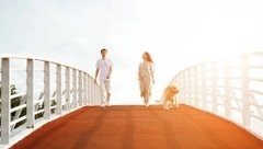 A couple walking on a bridge with their dog