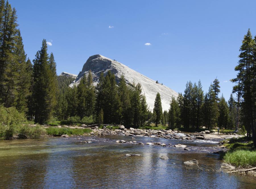 lake and trees