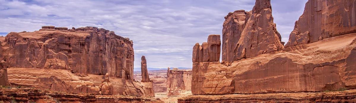 Desert landscape