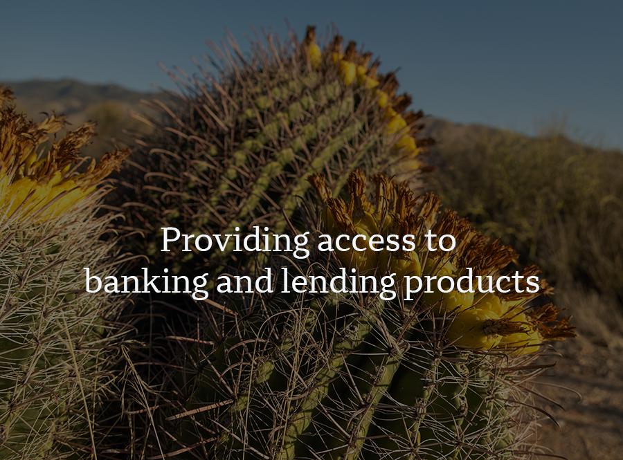 Liability Management2