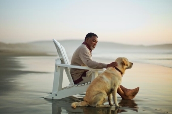 Man and dog on beach