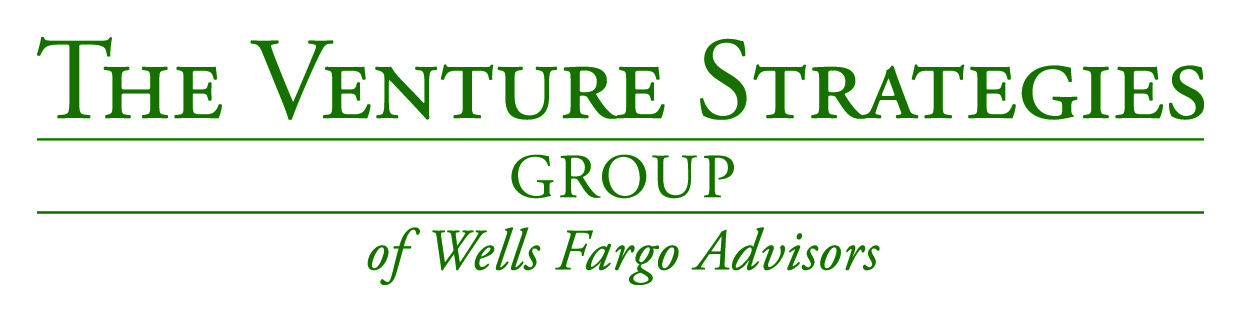 Venture Strategies Group