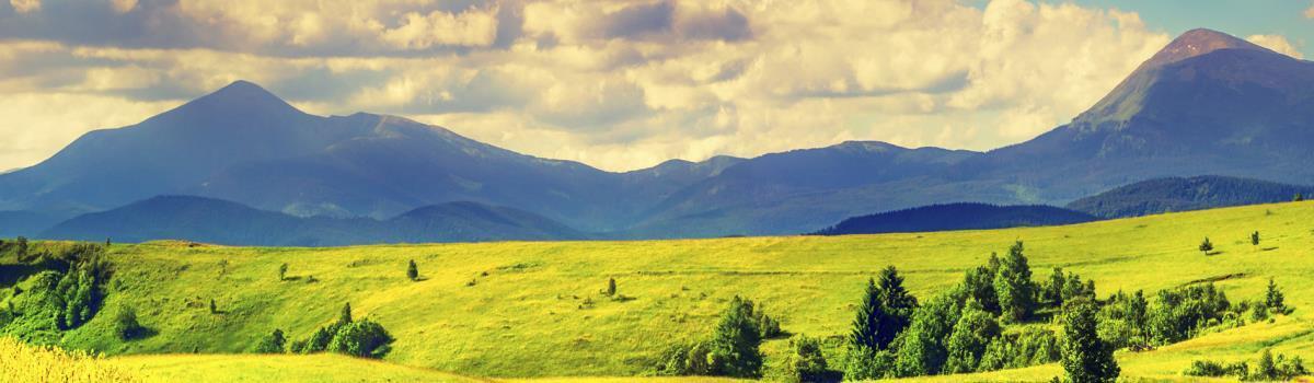 green fields in front of mountains