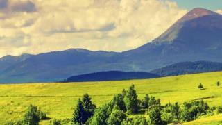 green fields in front of mountains